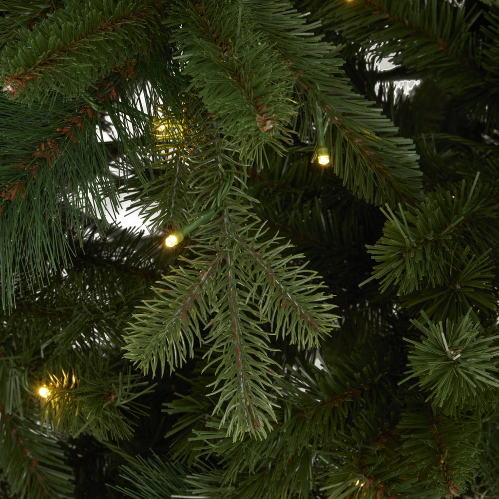 Close-up of fine green needles and flat-strip foliage, brown stem details and a green cable with several glowing warm-coloured bulbs.