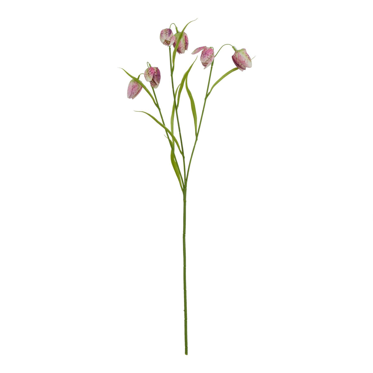 Full view of an artificial flower stem with green branches, narrow pointed leaves and hanging purple, pink and cream bell-shaped blooms on white.