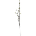 Full view of an artificial berry stem on white, with a long dark-brown main stem, fine side branches and scattered green berry clusters.