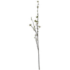 Full view of an artificial berry stem on white, with a long dark-brown main stem, fine side branches and scattered green berry clusters.