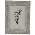 Front view of a pale grey-beige mottled photo frame with a broad border and a botanical insert marked 4 × 6 inches.