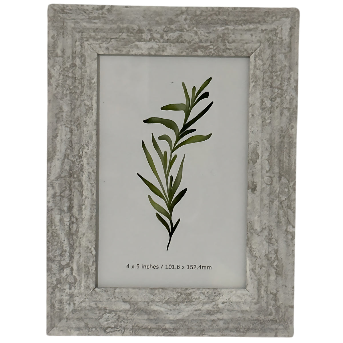 Front view of a pale grey-beige mottled photo frame with a broad border and a botanical insert marked 4 × 6 inches.