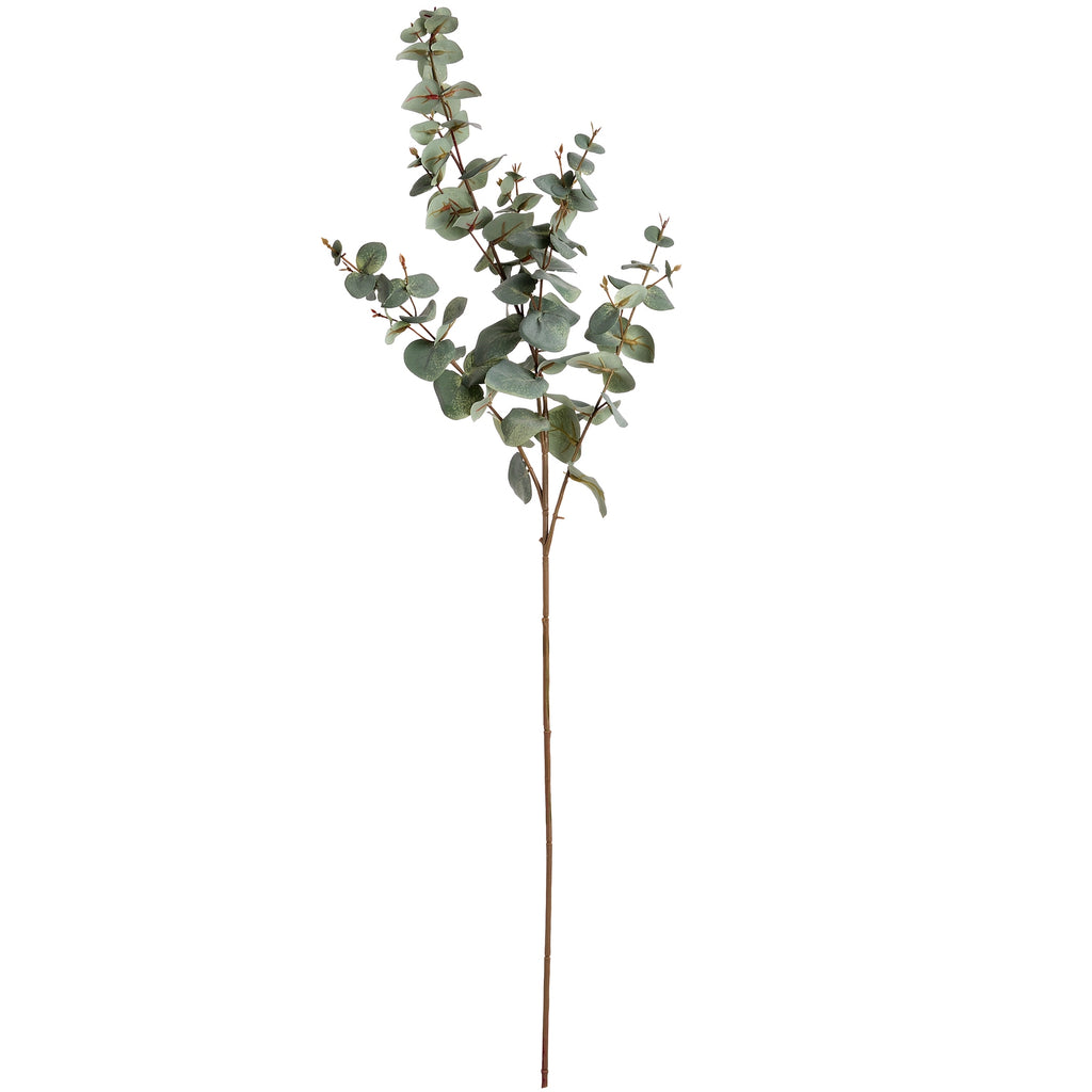 Full artificial eucalyptus stem on a white background, with a long brown stalk and branching clusters of rounded mottled green leaves.