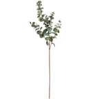 Full artificial eucalyptus stem on a white background, with a long brown stalk and branching clusters of rounded mottled green leaves.