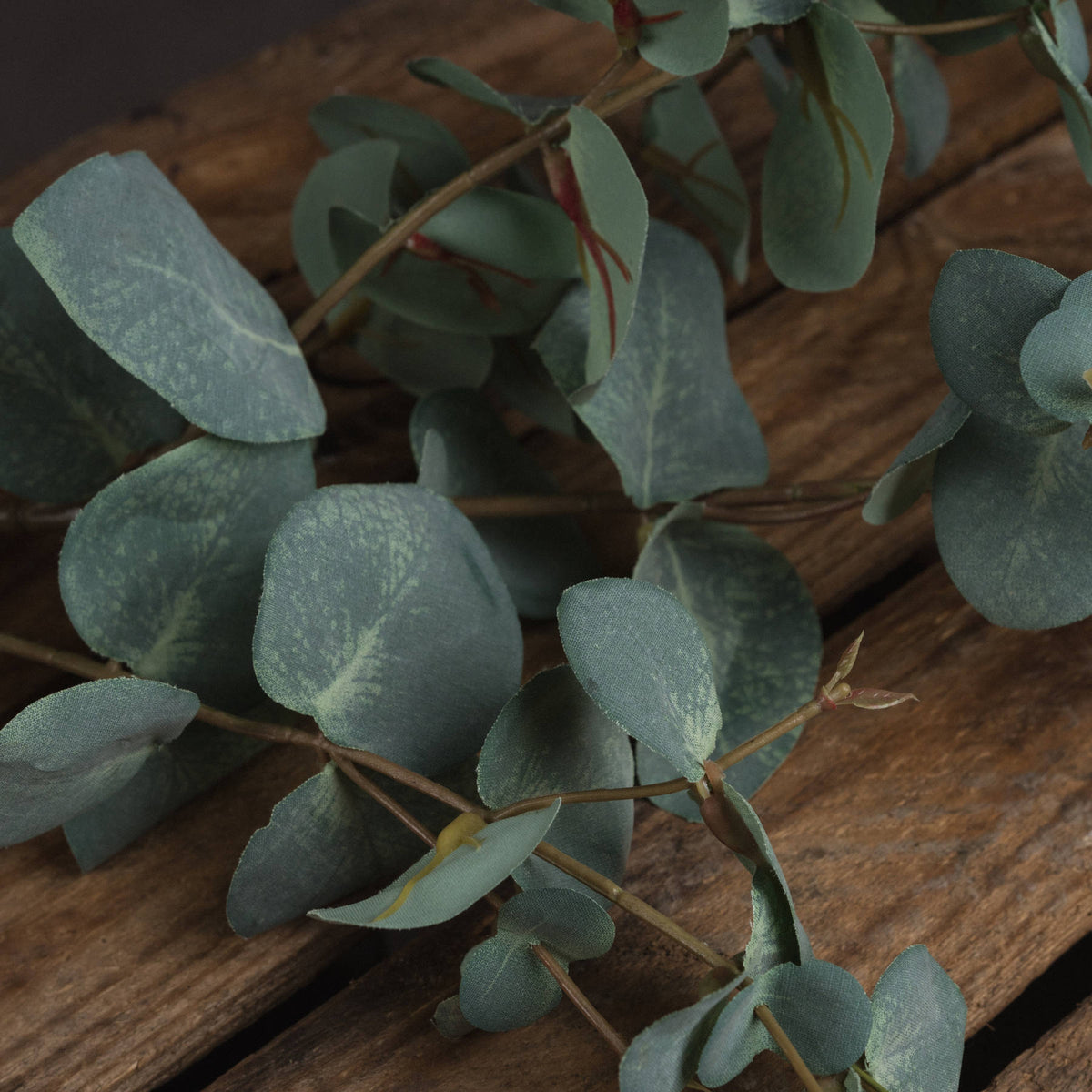 Close-up of blue-green eucalyptus leaves with pale mottled markings and fine surface texture, resting across a wooden surface.