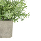 Close-up of needle-like green foliage extending over the rim of the grey pot, showing its mottled stone-effect surface.