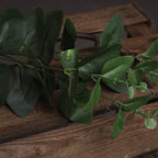 Close-up of the artificial eucalyptus foliage resting on wooden slats, showing curved green leaves, vein markings and small pale leaves along the slender branches.