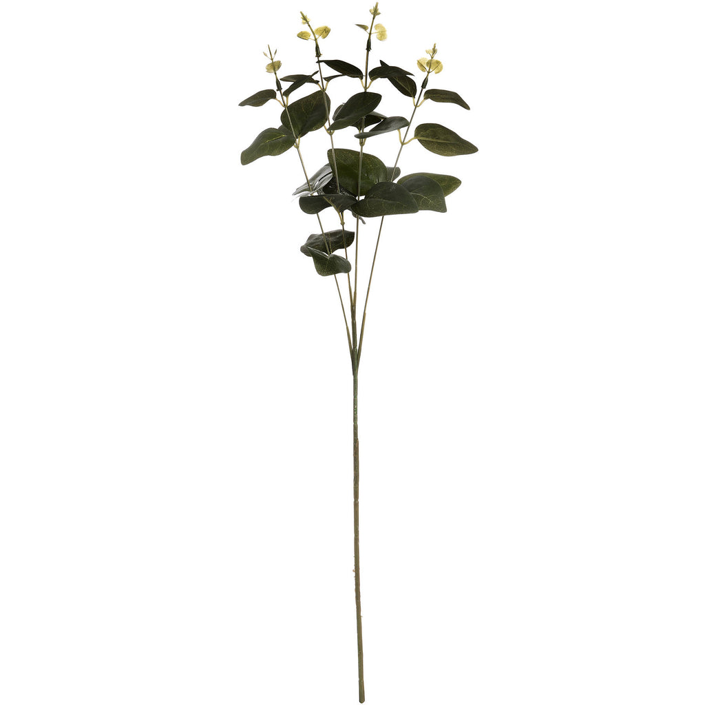 Full view of the Newleaf artificial eucalyptus spray, with a long brown-green stem, dark oval leaves and pale rounded leaves at the upright branch tips.