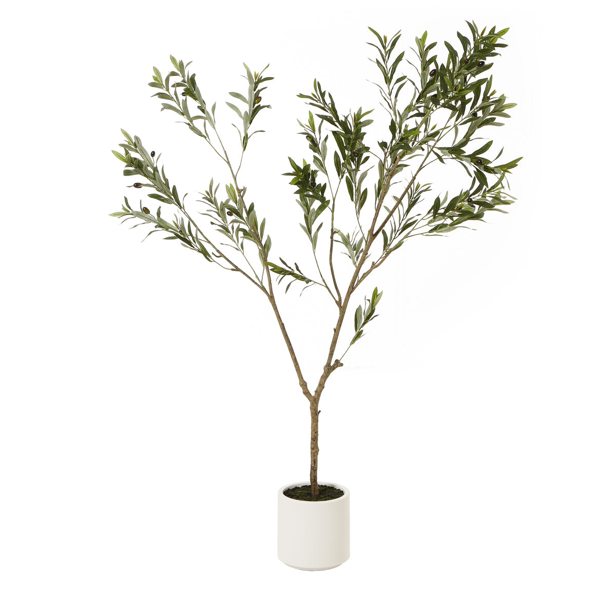 Full view of the artificial potted tree with a branching brown trunk, narrow green leaves and dark olive-like fruits above a white cylindrical pot.