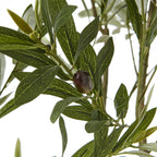 Close-up of a dark olive-like fruit among narrow artificial green leaves with pale vein markings.