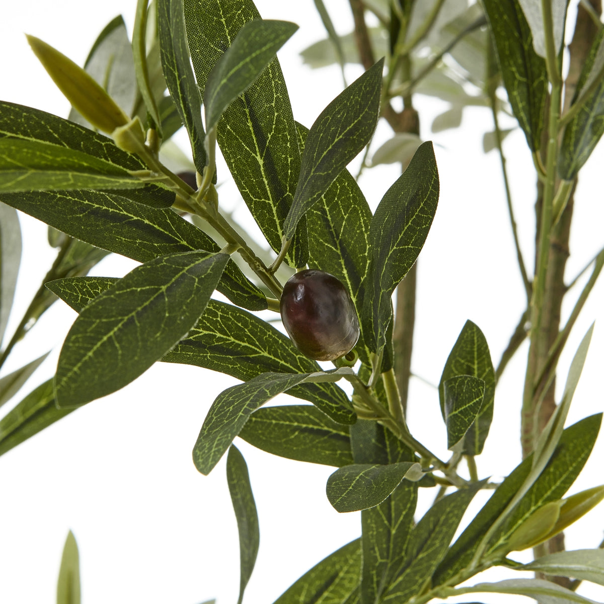 Close-up of a dark olive-like fruit among narrow artificial green leaves with pale vein markings.