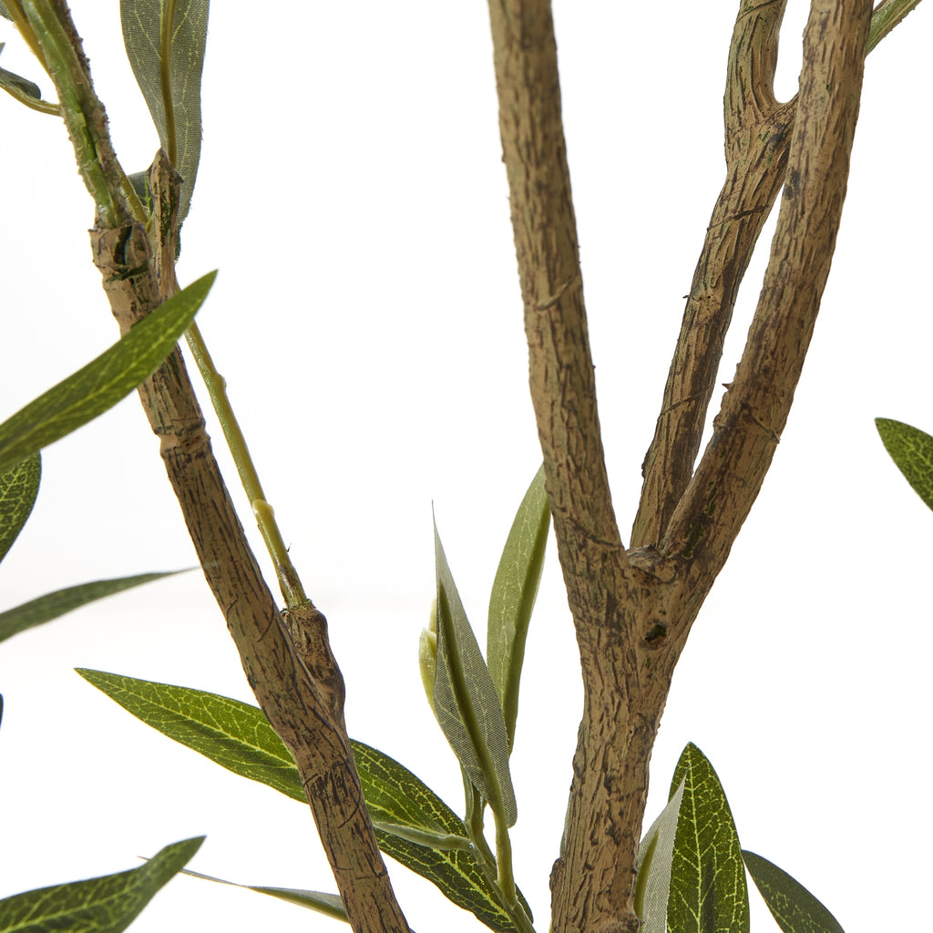 Detail of forked brown branches with bark-like markings and narrow green leaves against a white background.