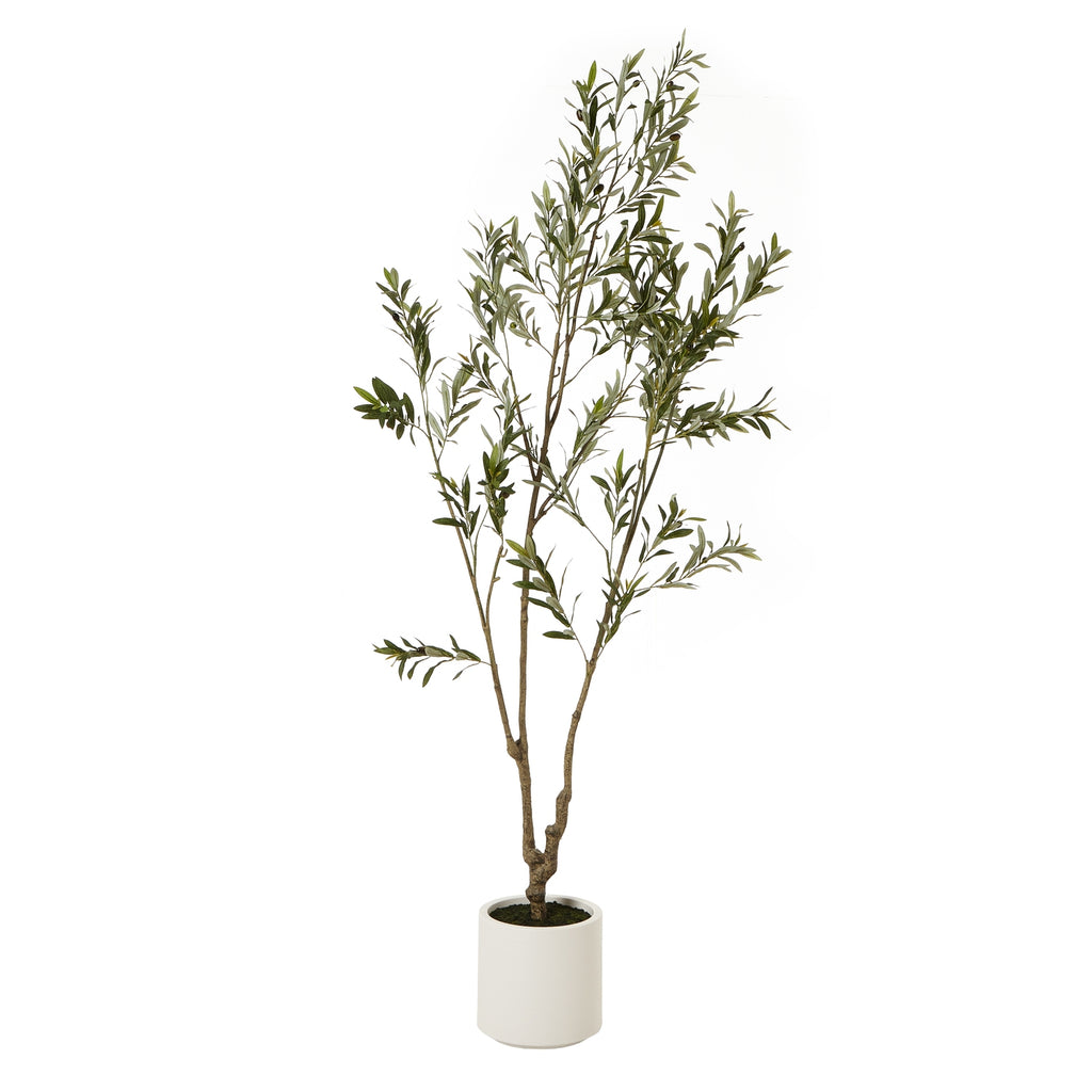 Full view of the Olivelike Crown artificial tree, with an open upright crown and gnarled brown trunk in a white cylindrical pot.
