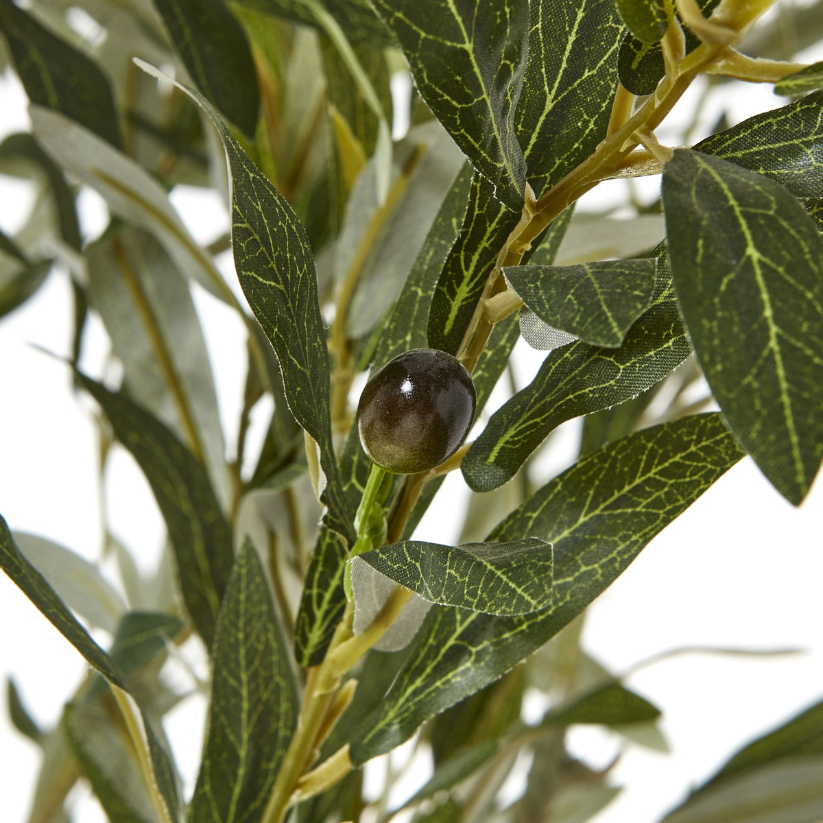 Close-up of a dark olive-like fruit among narrow artificial green leaves with pale vein markings.