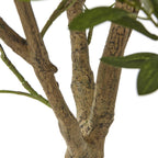 Detail of the branching brown trunk with dark bark-like markings and green leaves crossing the foreground.
