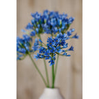 Close view of open blue florets and buds in a vase arrangement, with further flower heads and a white vase softly blurred behind.