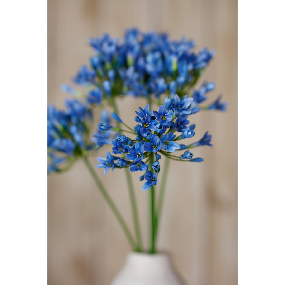 Close view of open blue florets and buds in a vase arrangement, with further flower heads and a white vase softly blurred behind.