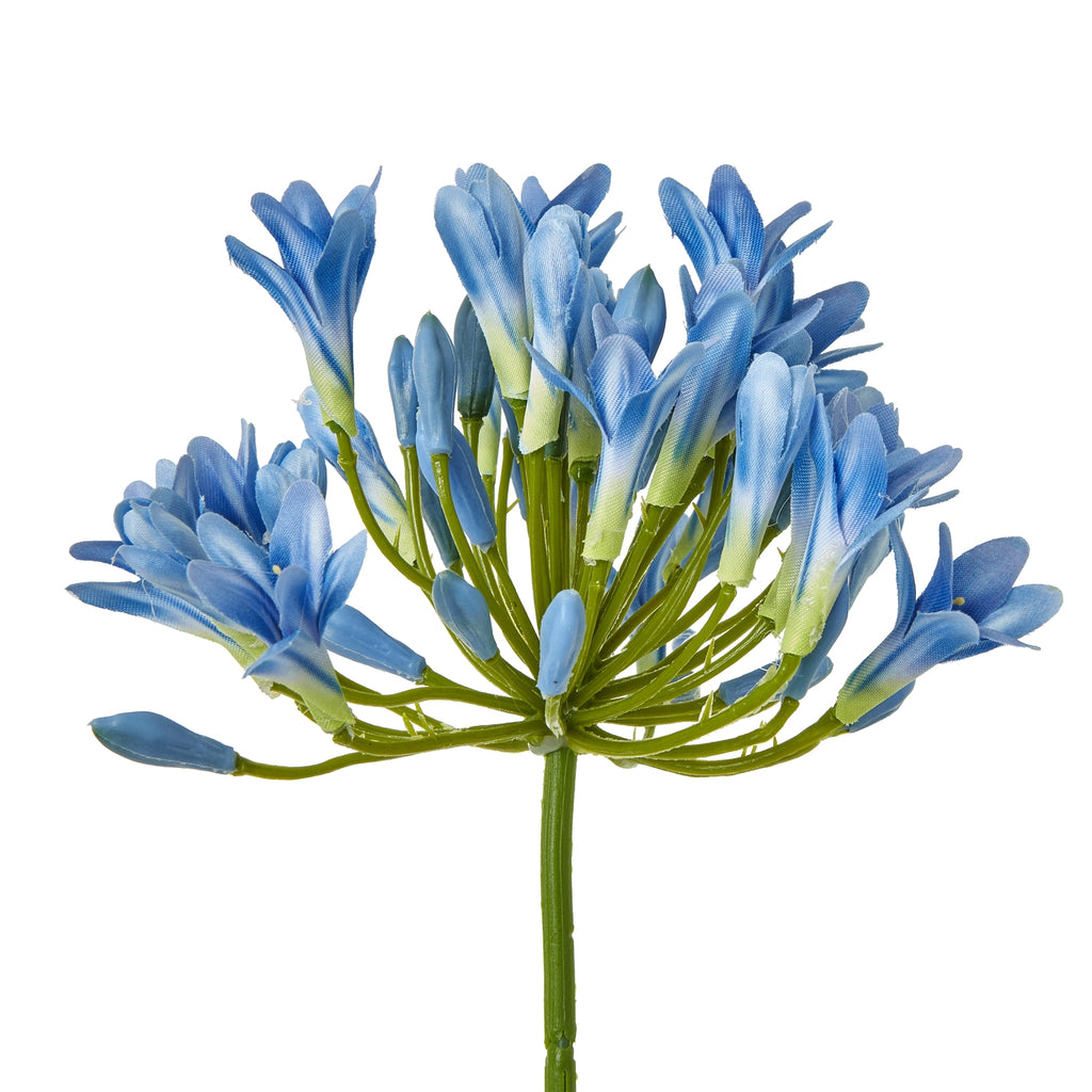 Close-up of blue florets and unopened buds spreading out on fine green branches from the centre of the flower head.