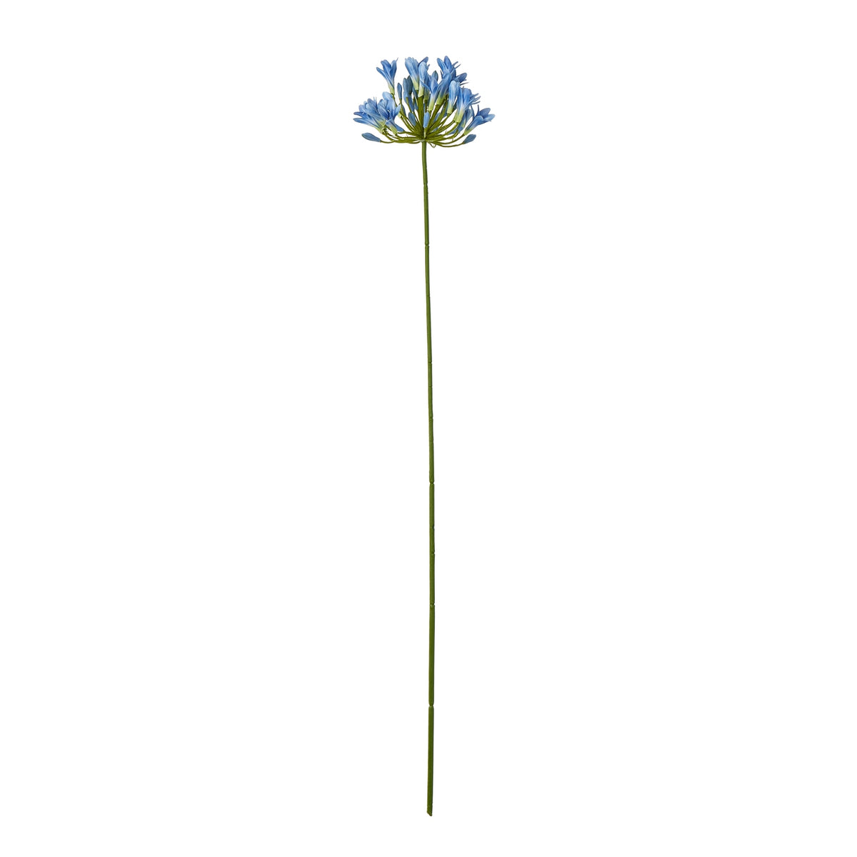 Blue artificial flower stem shown in full against white, with a radial flower head above a long green stem.