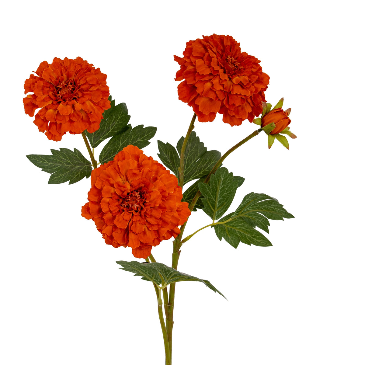 Closer view of the spray's three layered orange flower heads, orange bud and lobed green leaves with pale vein markings.