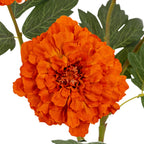 Close-up of an orange bloom showing densely overlapping, ruffled petals and its detailed centre, with green leaves behind.