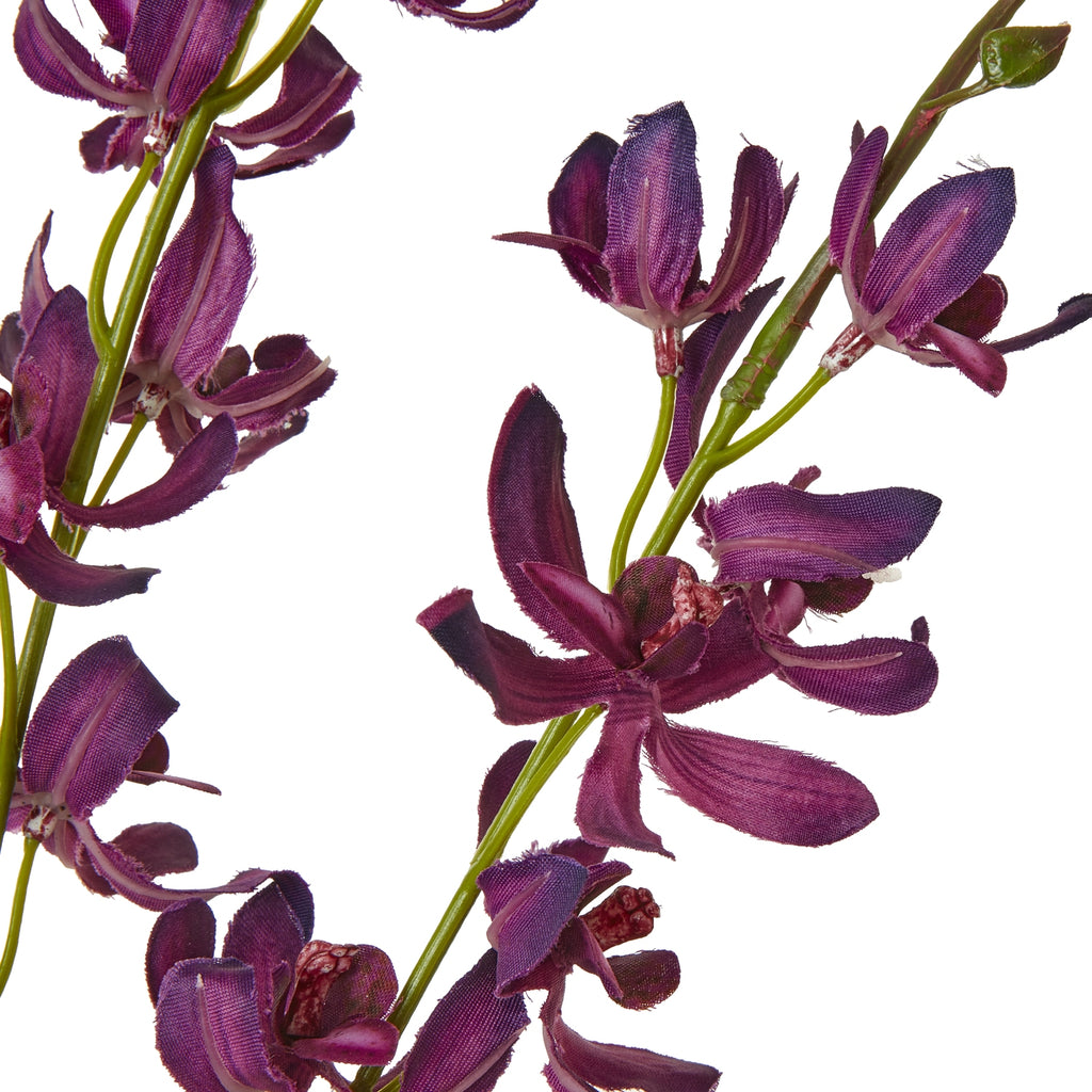 Close-up of deep purple orchid-like florets with curved, textured petals on green branching stems.
