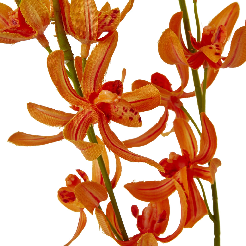 Close-up of orange orchid-like florets showing dark red stripes, spotted markings and curled petals around green stems.
