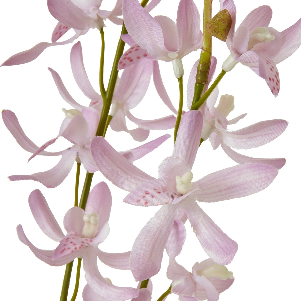 Close-up of pale lilac orchid-like flowers showing textured petals, darker pink speckles, cream centres and green stems.