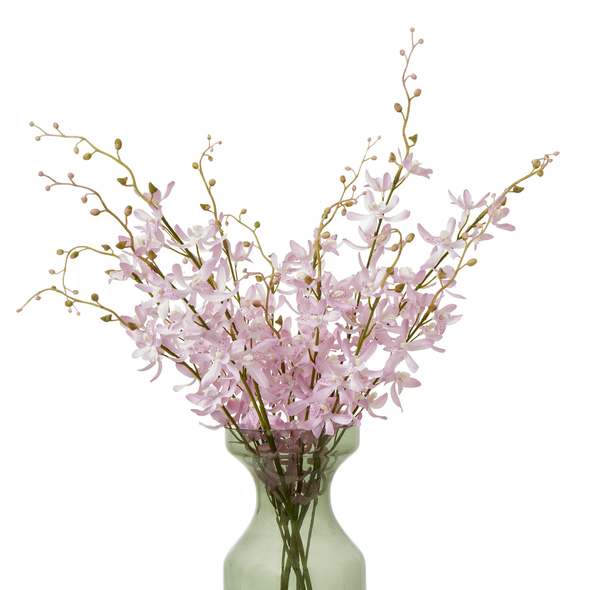 A full arrangement of pale lilac orchid-like flowers and budded branches displayed in a translucent green vase against white.