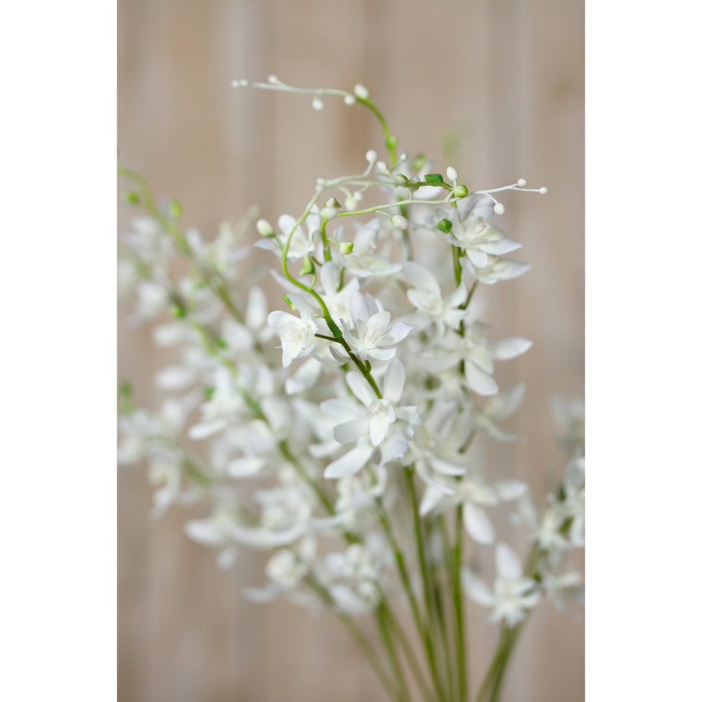 Detail of white orchid-like flowers and small green and pale buds on curving branches against a softly blurred wooden background.