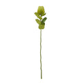 Full view of a green artificial botanical stem with a slender lower stalk, broad leaves and an upright oval bristled head against white.