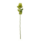 Full view of a green artificial botanical stem with a slender lower stalk, broad leaves and an upright oval bristled head against white.