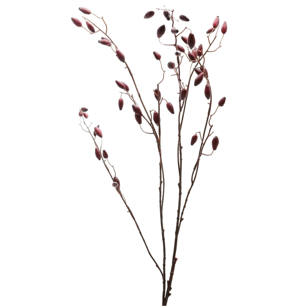 Closer view of the rosehip spray's upper branches against white, showing spaced red oval forms and fine leafless offshoots.