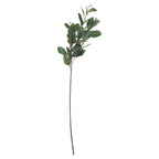 Full view of an artificial eucalyptus stem with a long red-brown stalk and branching dark-green oval foliage against a white background.