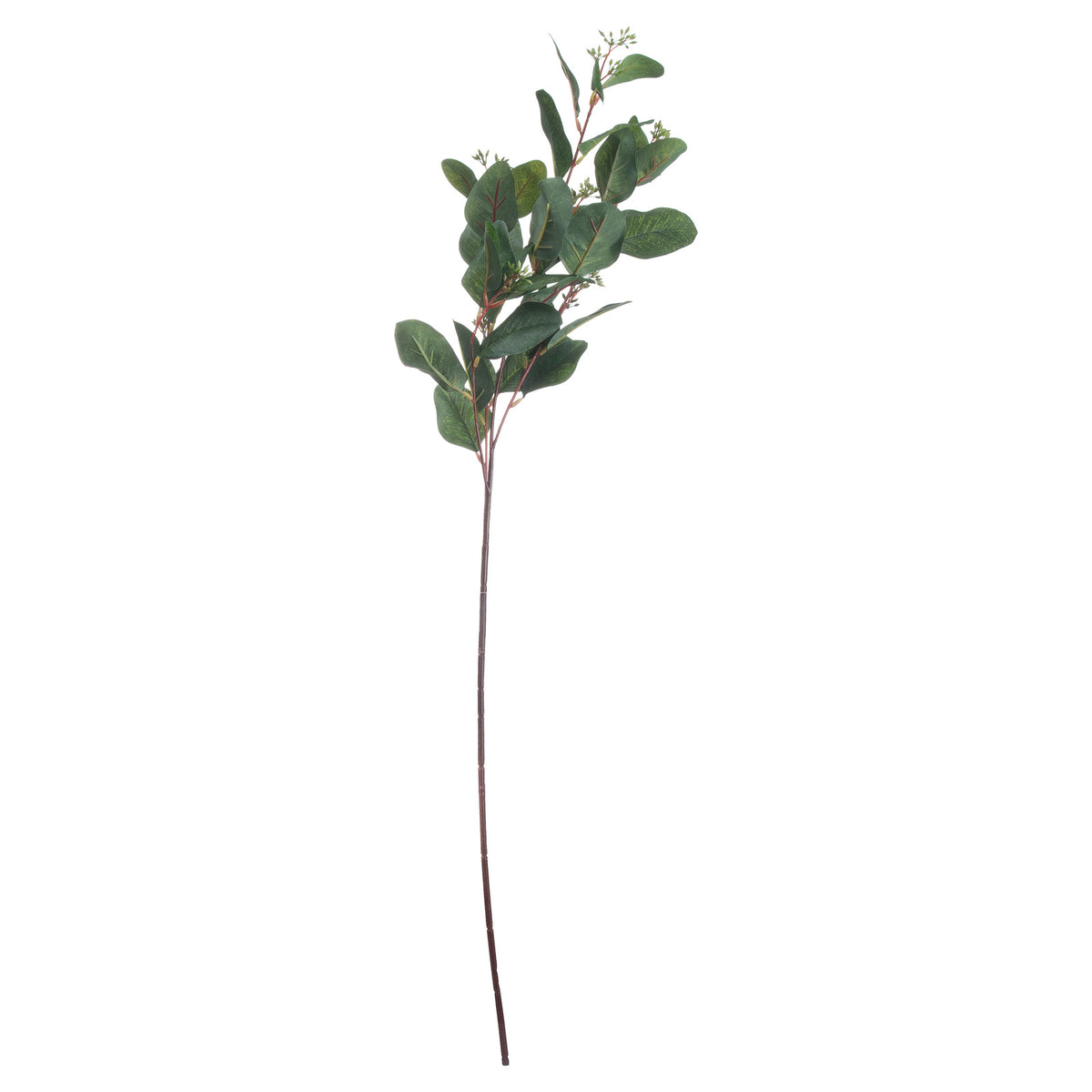 Full view of an artificial eucalyptus stem with a long red-brown stalk and branching dark-green oval foliage against a white background.