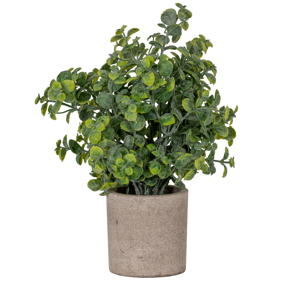Ovalleaf artificial plant with clustered rounded green leaves and branching stems in a cylindrical grey-beige pot against white.