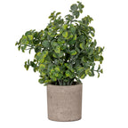 Ovalleaf artificial plant with clustered rounded green leaves and branching stems in a cylindrical grey-beige pot against white.