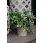 Artificial potted greenery on a wooden surface beside pale decorative objects, with a patterned object behind the leaves.
