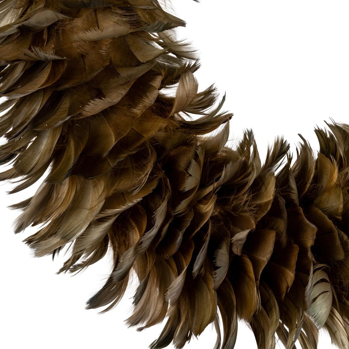 Close-up of the wreath's layered feather-like forms, showing fine edges, curved tips and grey-brown to warm-brown colour variation beside the open centre.