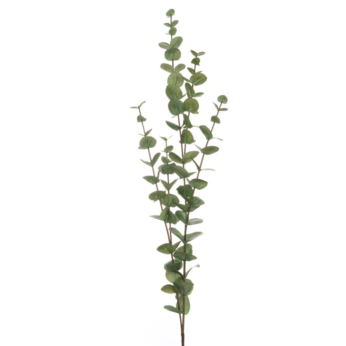 Upright artificial foliage spray with rounded muted green leaves spaced along several slender reddish-brown stems against a white background.