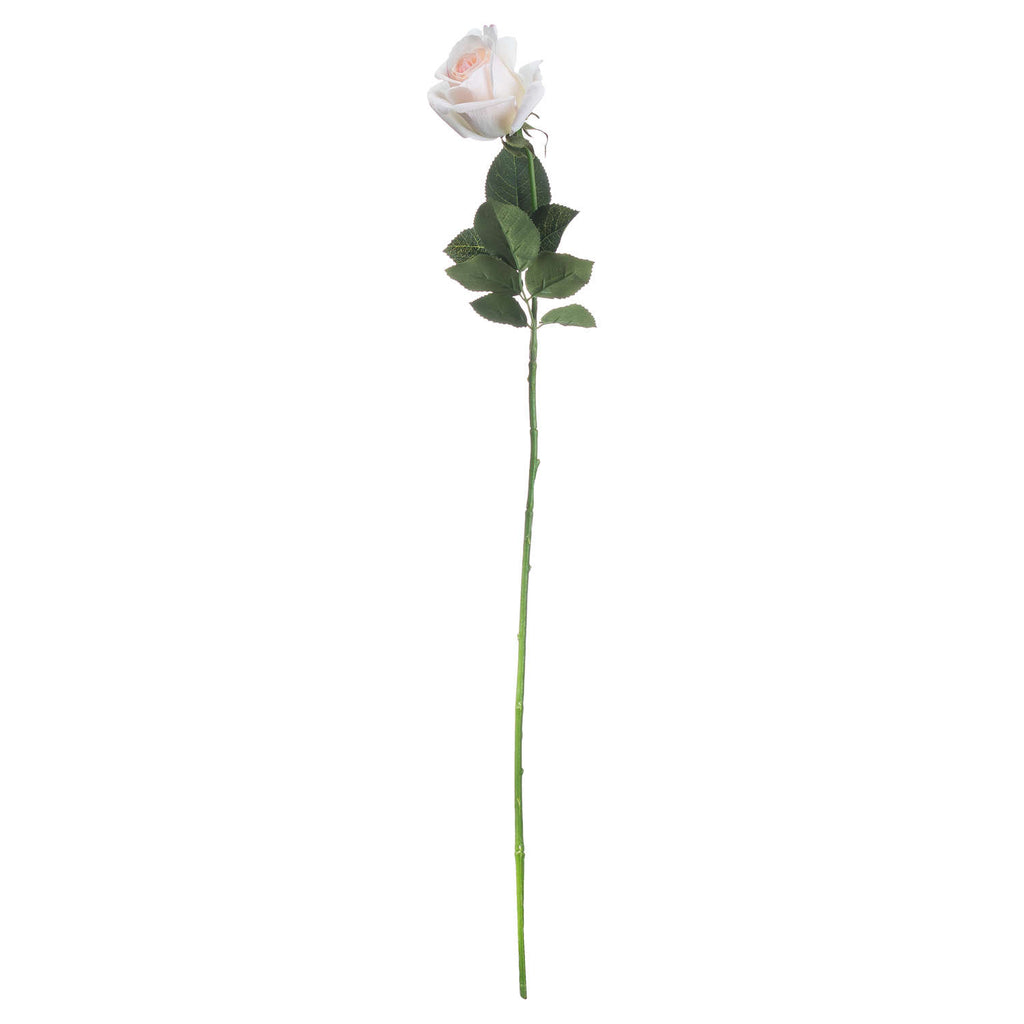 Full view of a pale artificial rose with a long green stem, dark green leaves and an ivory bloom with a softly blushed centre.