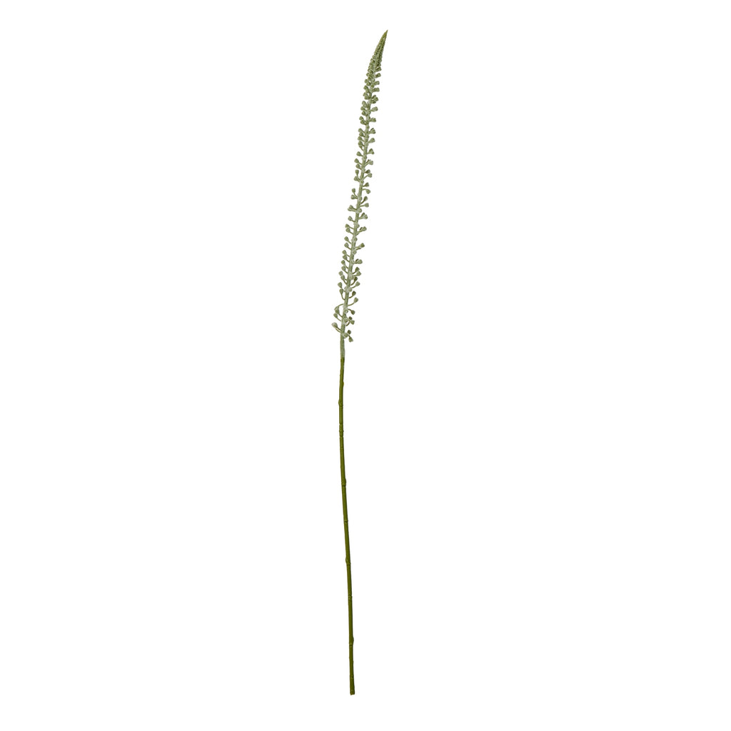 Full view of the Pale Taperspike artificial flower stem, with a long green stalk and a narrow pale flower spike against white.