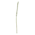 Full view of the Pale Taperspike artificial flower stem, with a long green stalk and a narrow pale flower spike against white.