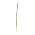 Full view of the Pale Taperspike artificial flower stem, with a long green stalk and a narrow pale flower spike against white.