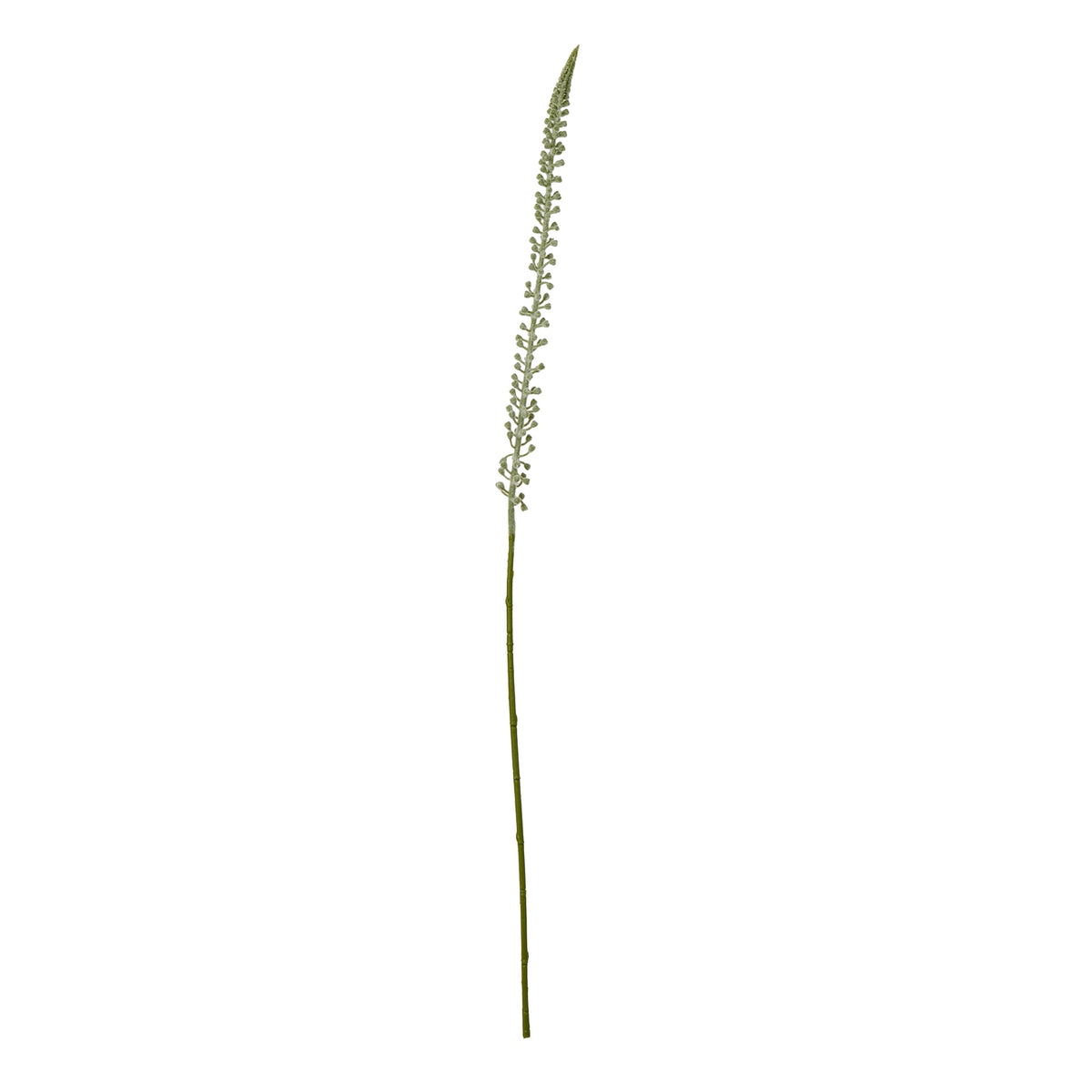 Full view of the Pale Taperspike artificial flower stem, with a long green stalk and a narrow pale flower spike against white.
