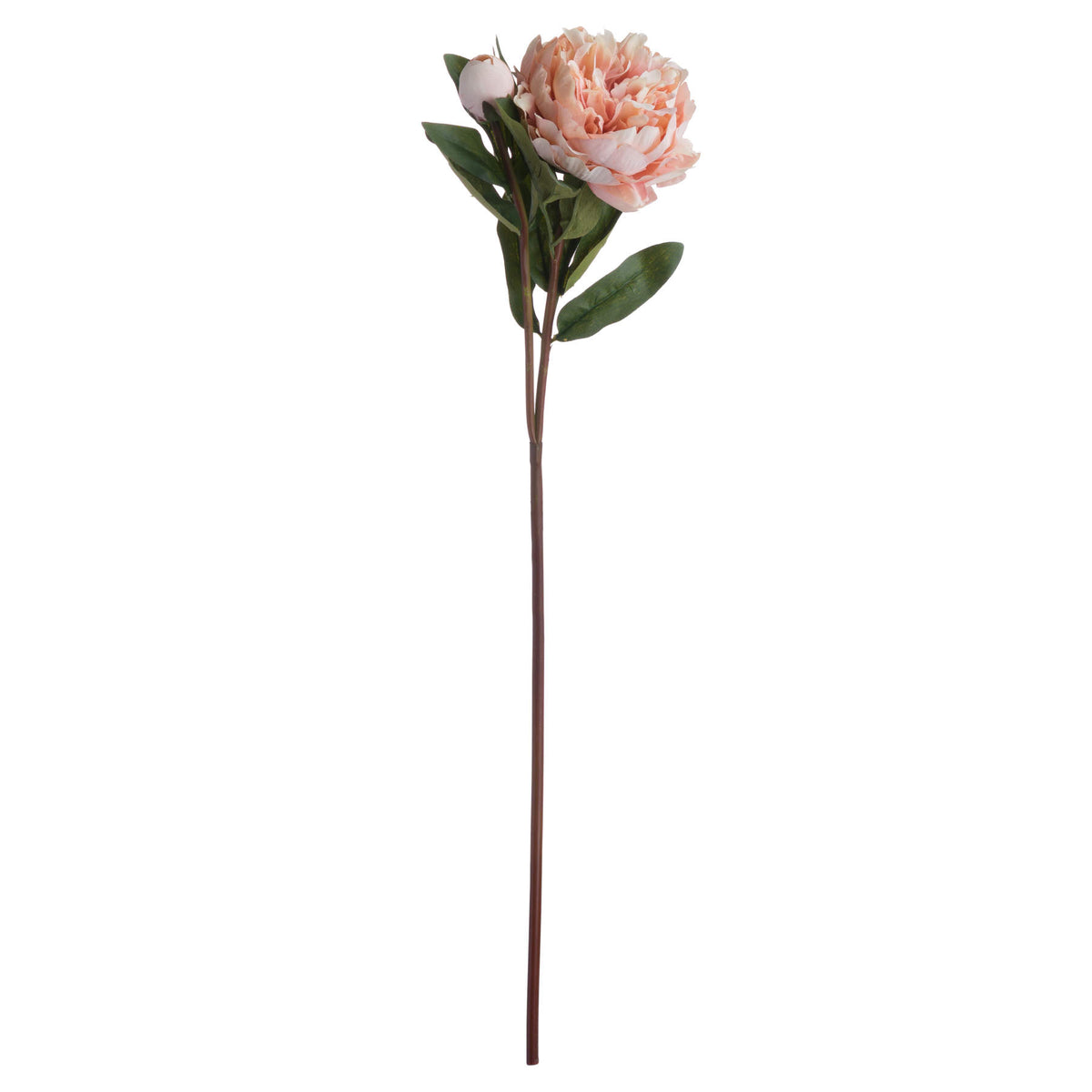 Full view of an artificial peach peony stem with an open flower, closed bud and dark green leaves against a white background.