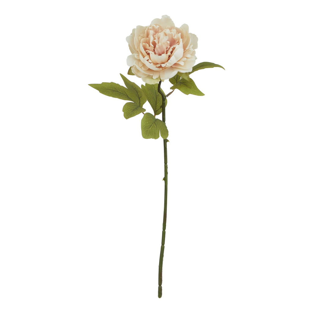 Full view of the Peach Roundbloom artificial flower stem, showing its rounded peach and cream bloom, olive-green leaves and long dark green stem against white.