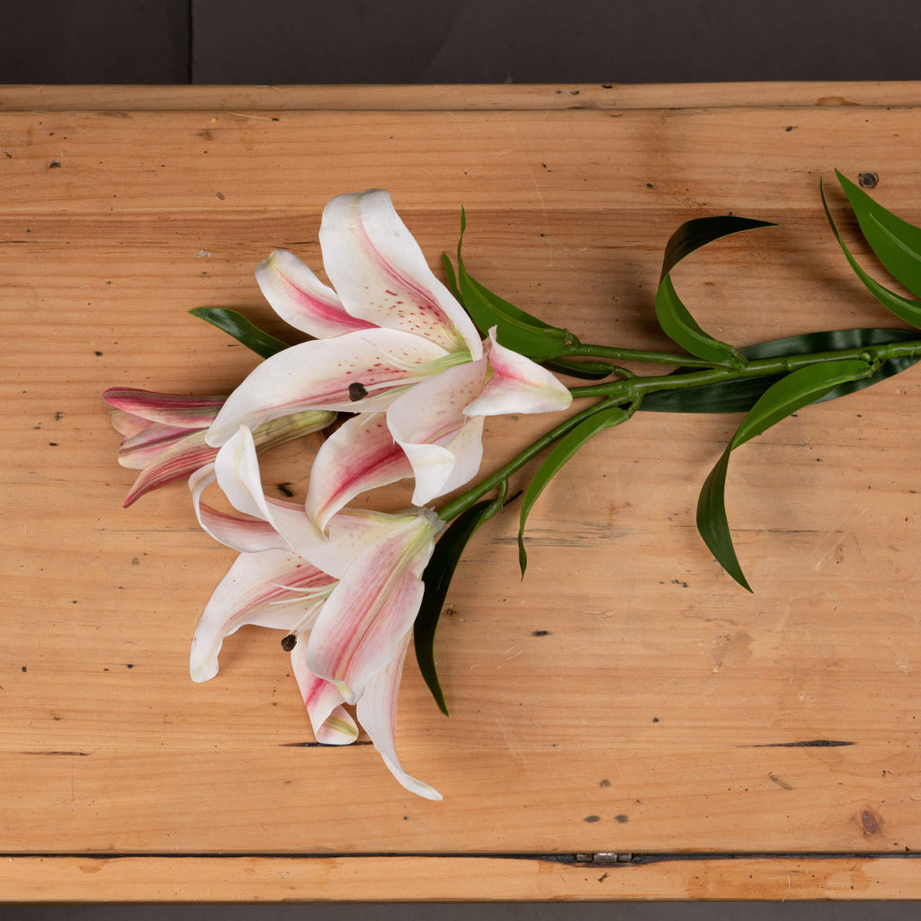 Artificial pink and white flowers laid diagonally across a wooden surface, showing open petals, tapered buds and green leaves.