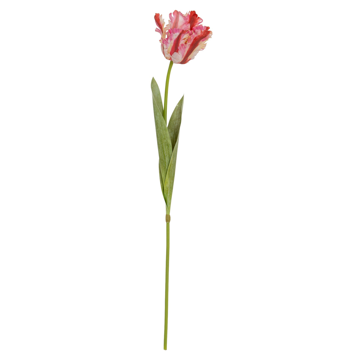 Full view of the Pink Cream Fringecup artificial flower stem, with a pink, red and cream bloom and two pointed green leaves against white.