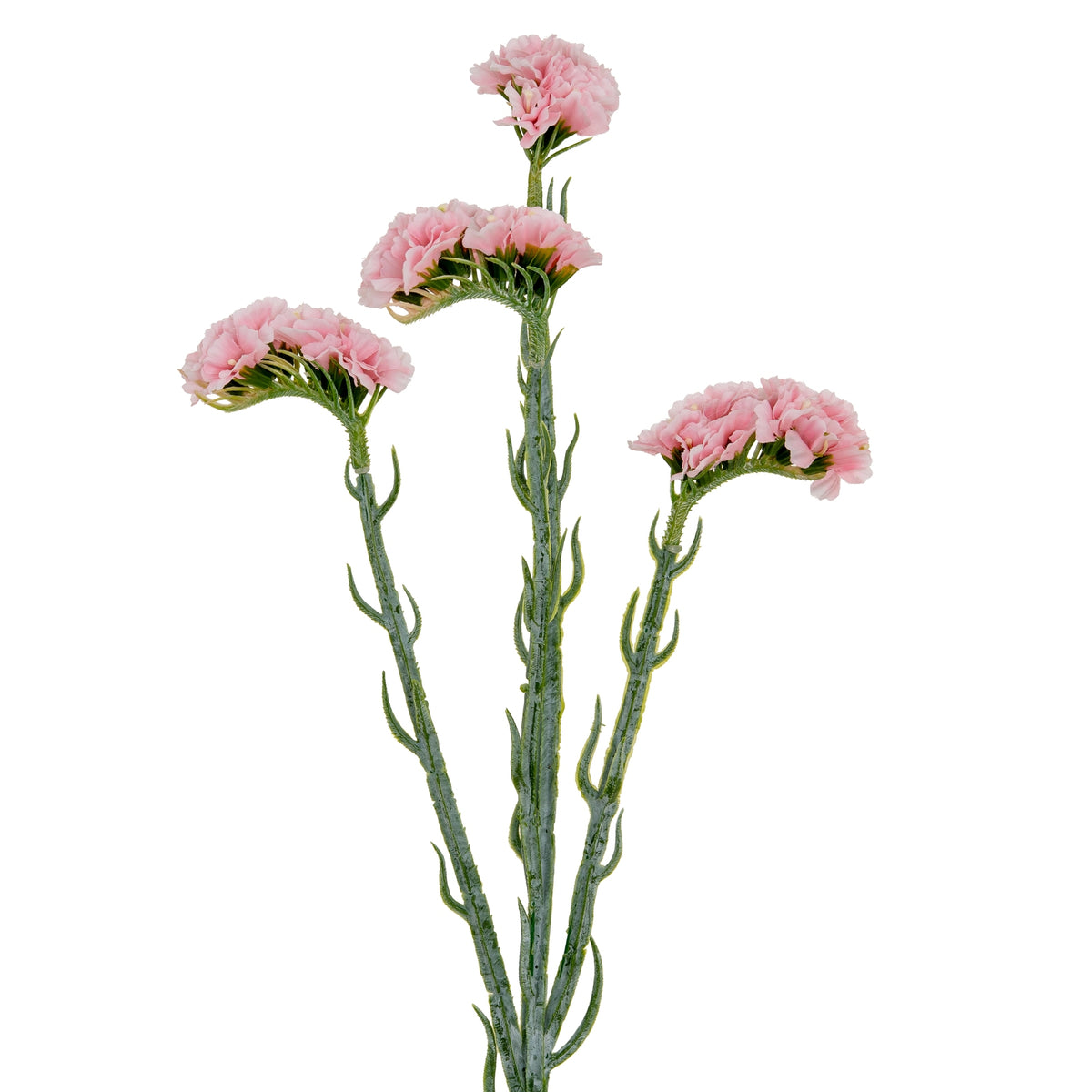 Closer view of the spray's pink flower clusters, branching green stems and narrow leaves against white.